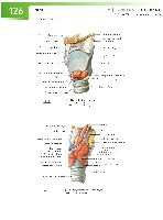 Sobotta Atlas of Human Anatomy  Head,Neck,Upper Limb Volume1 2006, page 133